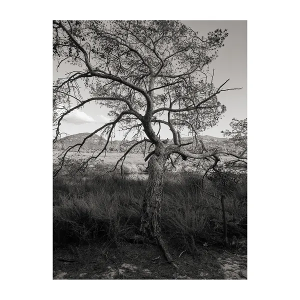 personal-lila-corsica