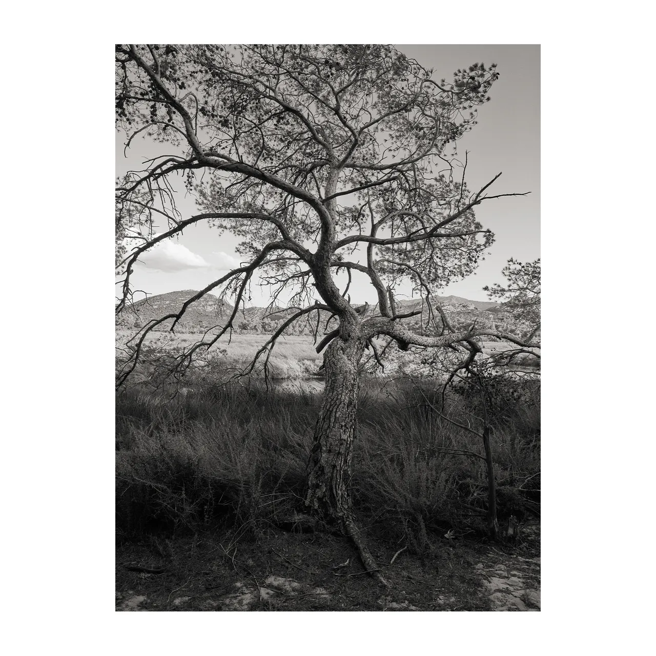 Personal / Lila, Corsica