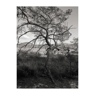 personal-lila-corsica