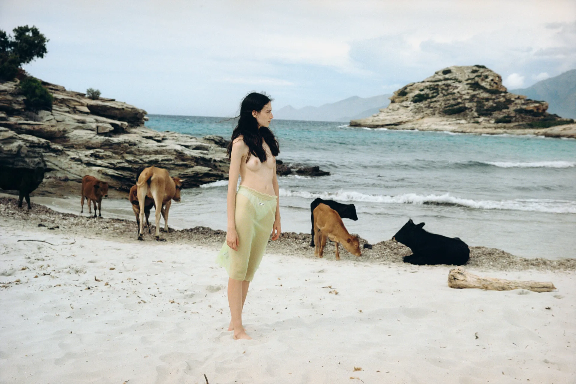 Personal / Lila, Corsica