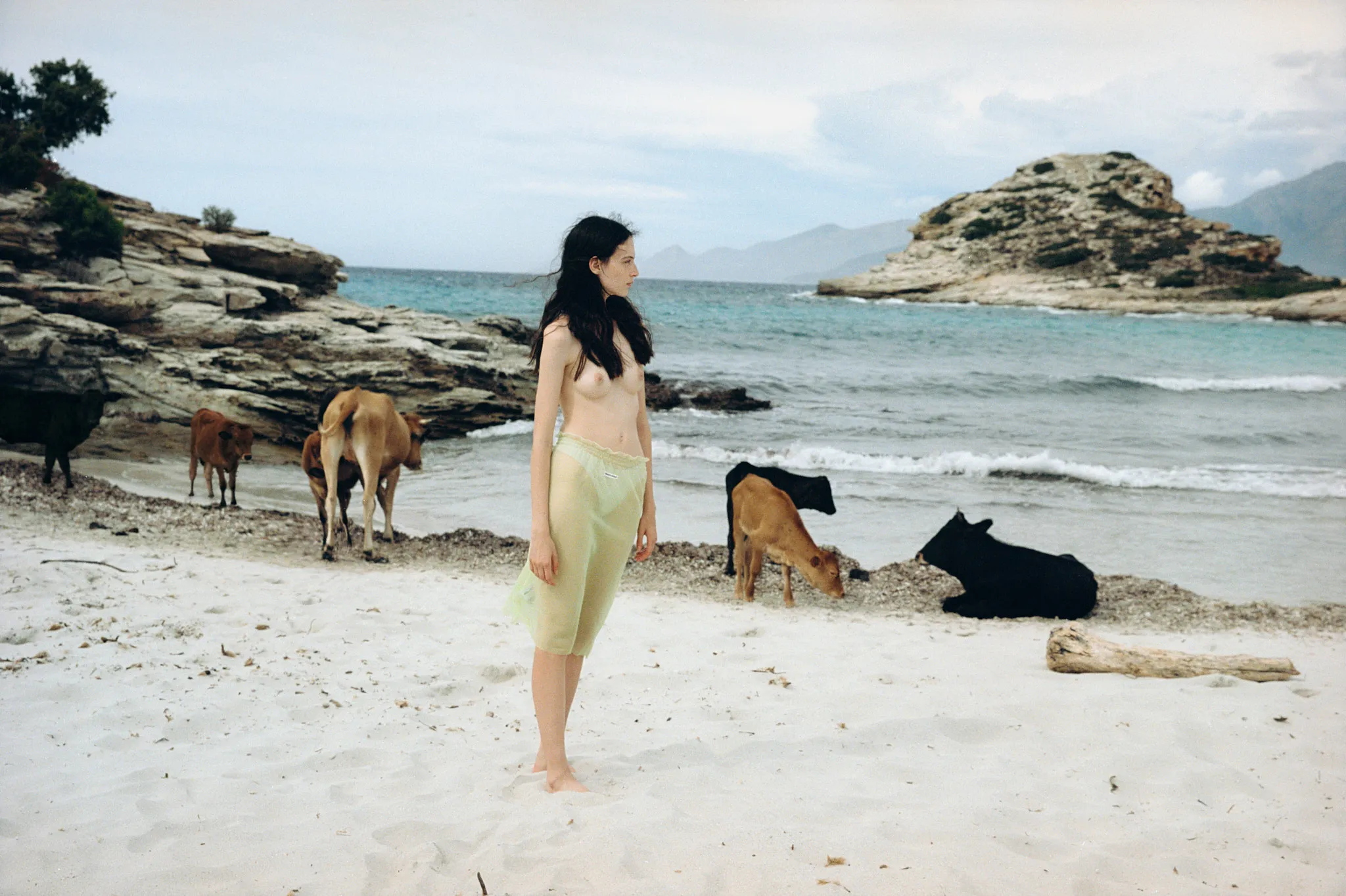 Personal / Lila, Corsica