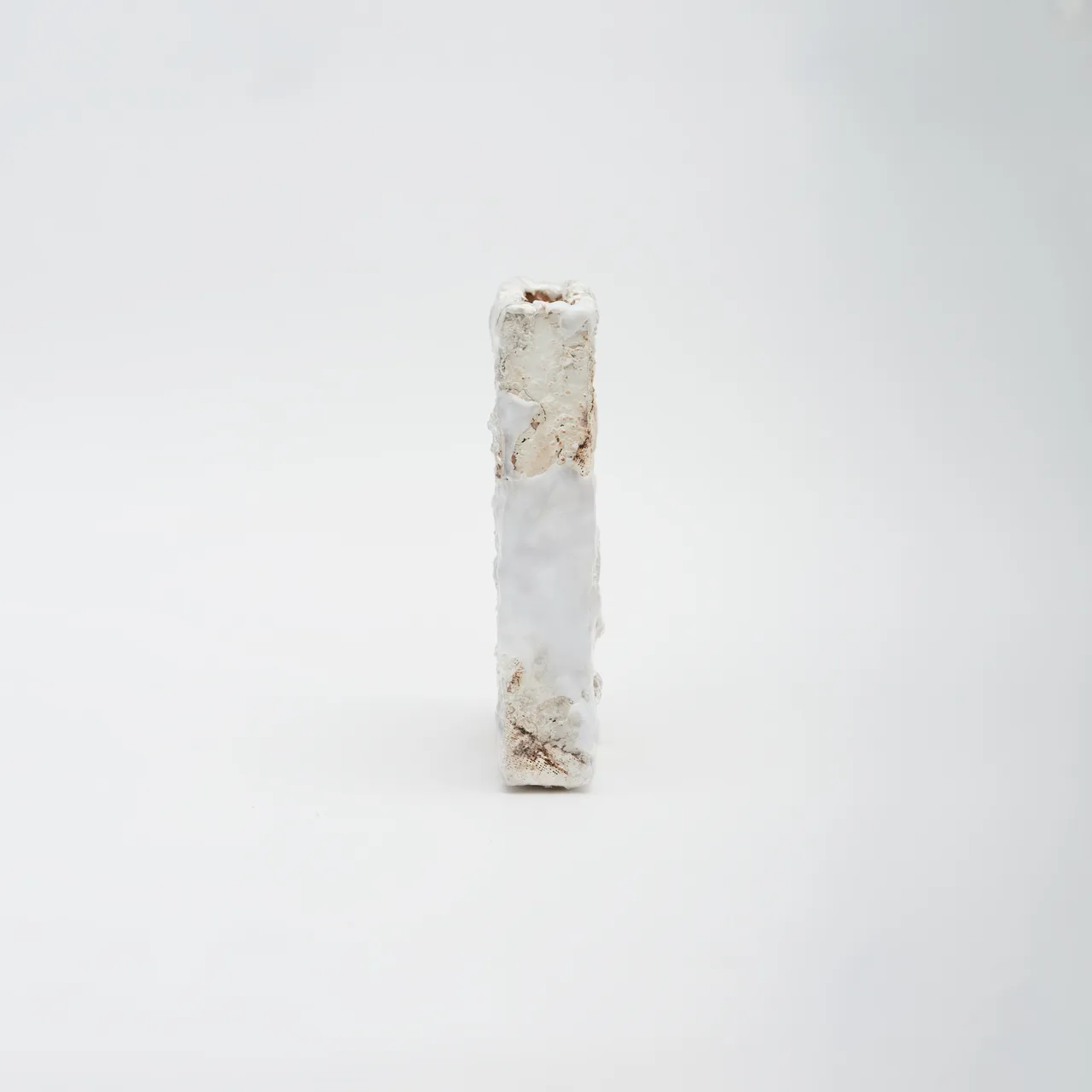 Personal / Posthumanism & Gans Theory