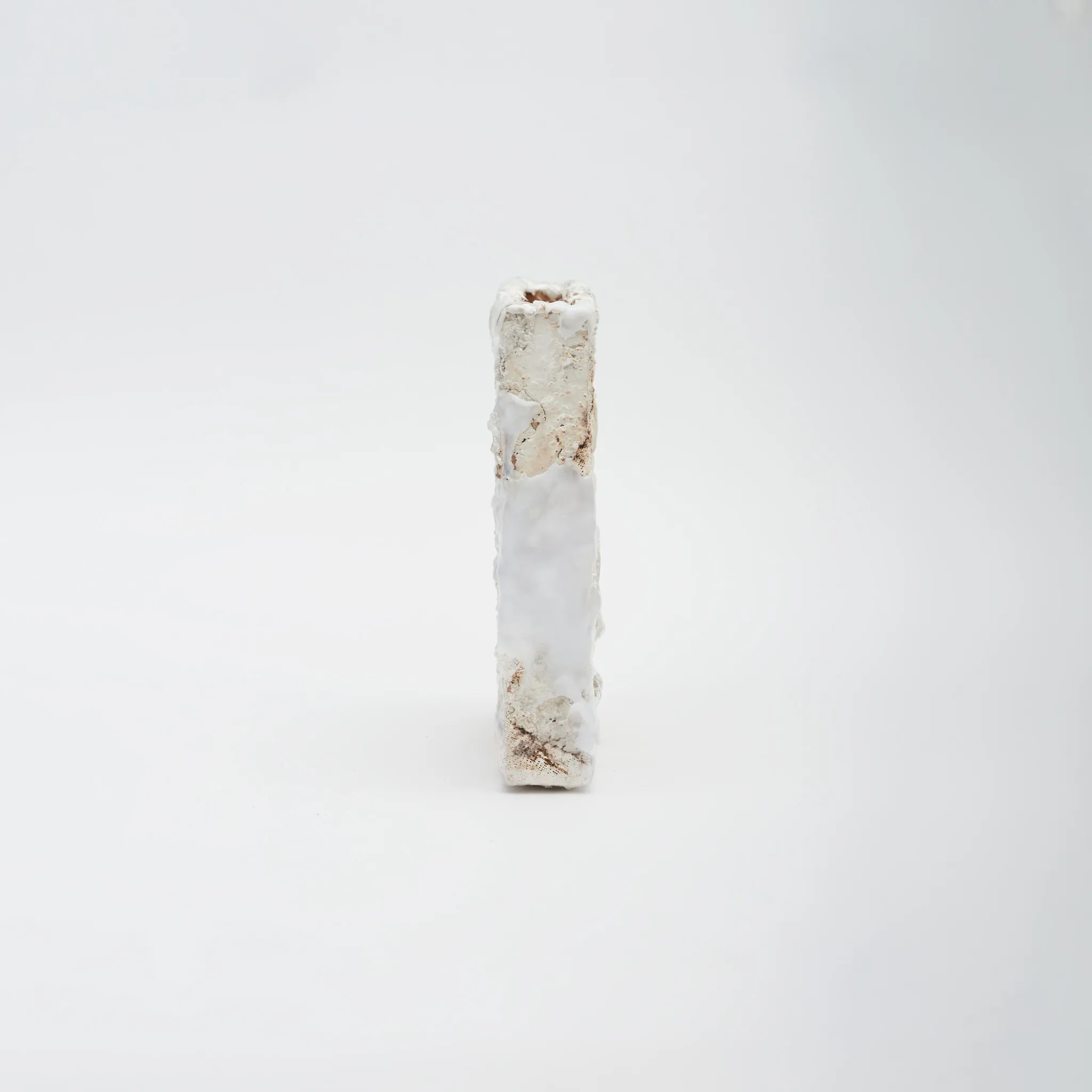 Personal / Posthumanism & Gans Theory