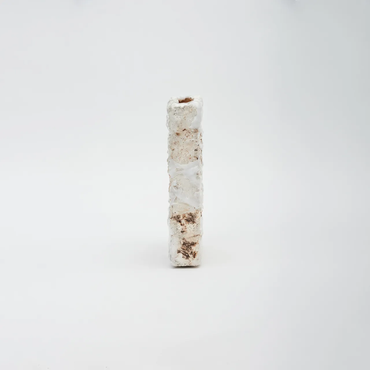 Personal / Posthumanism & Gans Theory