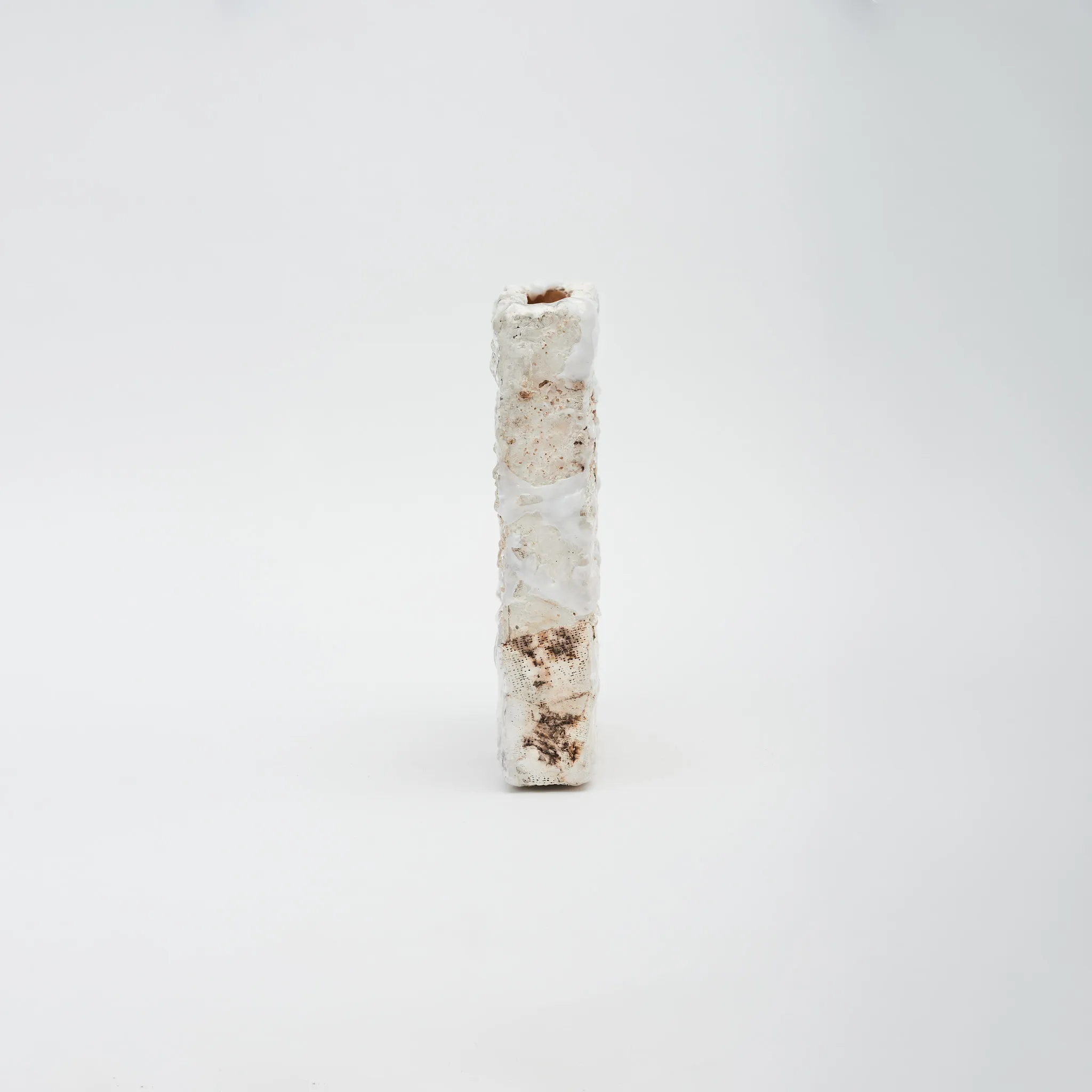 Personal / Posthumanism & Gans Theory