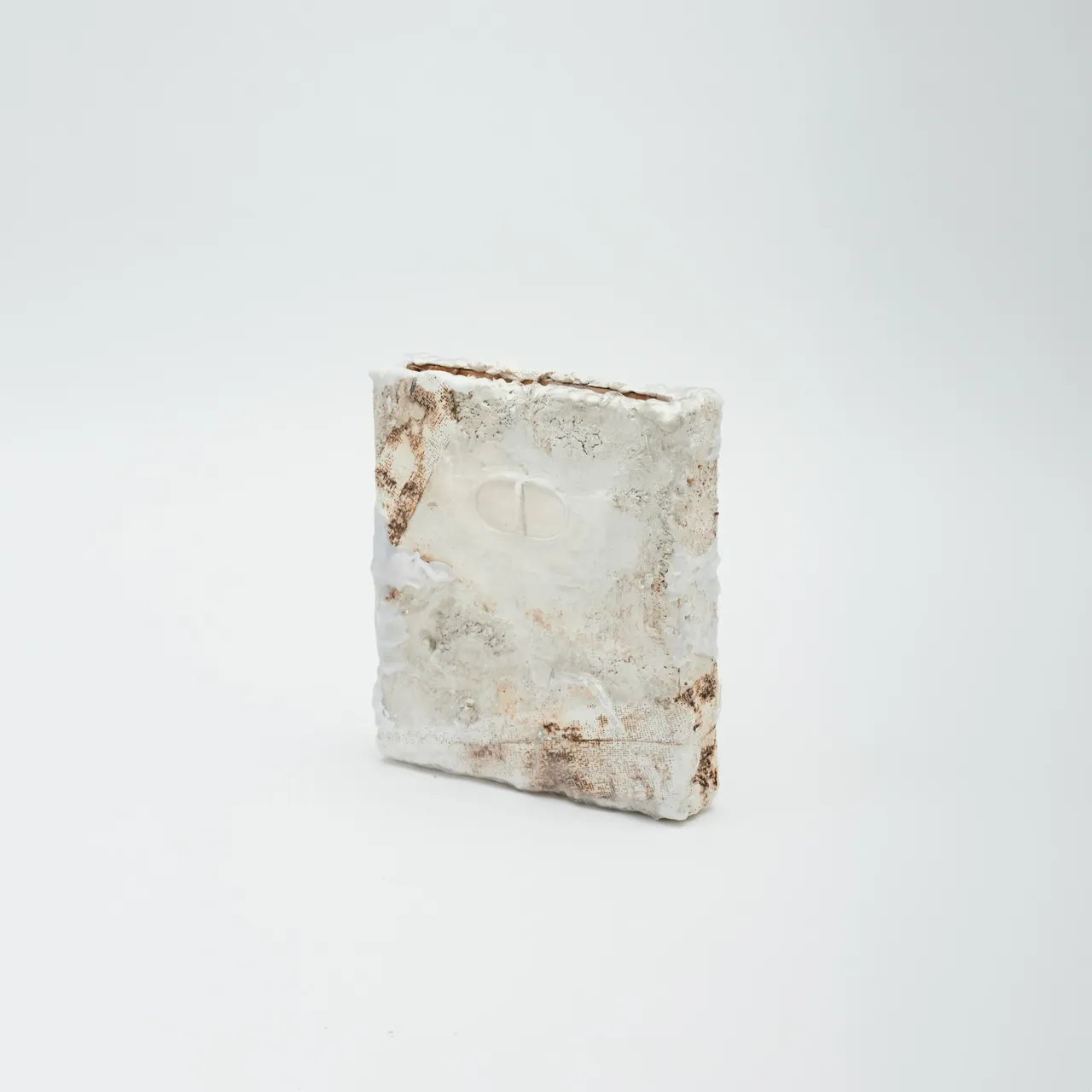 Personal / Posthumanism & Gans Theory