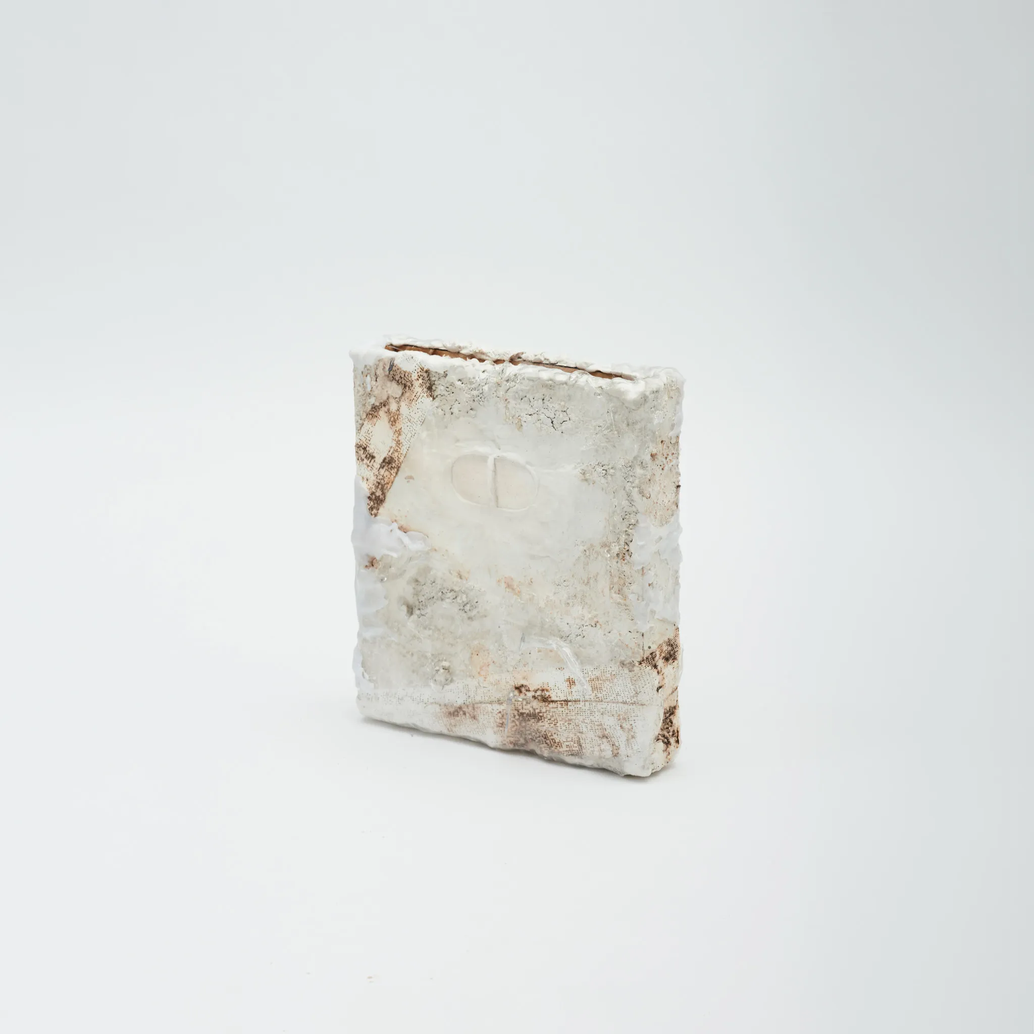 Personal / Posthumanism & Gans Theory