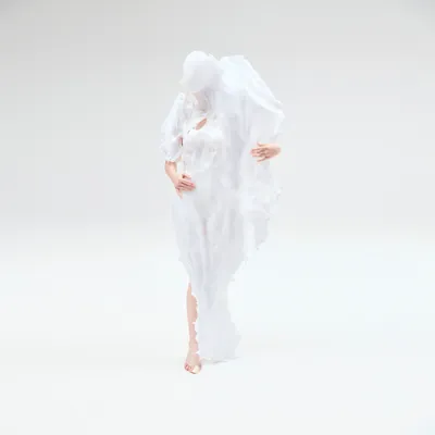 personal-posthumanism-gans-theory