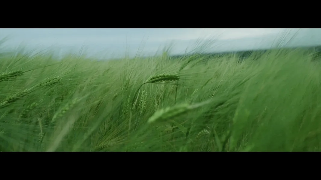 personal-showreel-22